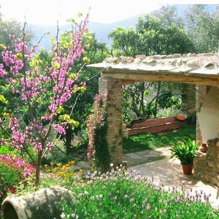 Mountain House Surrounded By Nature Bayacas Kültér fotó