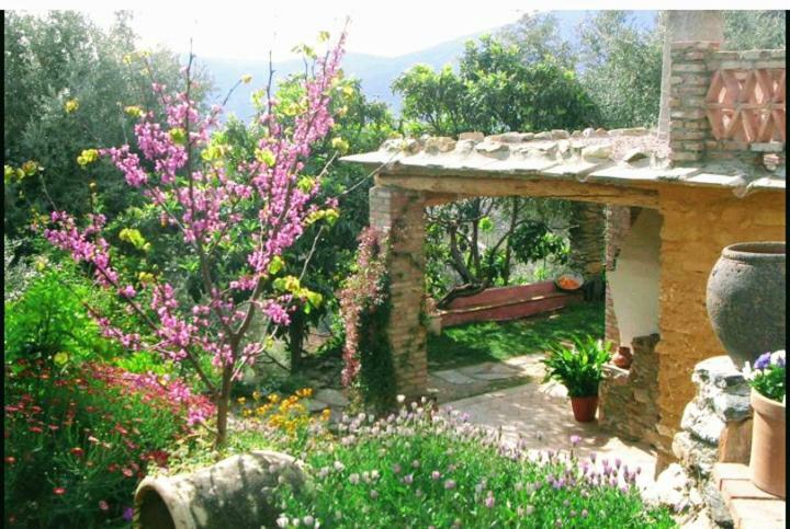 Mountain House Surrounded By Nature Bayacas Kültér fotó